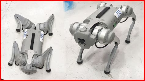 New Super Intelligent Robot Dog .